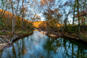 Evening Light Along North Fork River