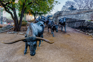Looking Down Dallas Bull Run