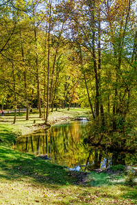 Autumn Reflections On A Curved Creek