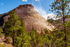Zion Icon Checkerboard Mesa