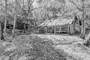 Boxley Valley Historic District Home Painterly Grayscale