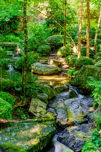 Forest Rock Garden Waterfall