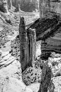 Guardian of the Canyon Spider Rock Grayscale