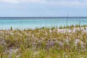 Sand Dunes And Sea Oats On Destin Beach