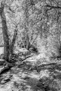 Fountain Creek Curves Through Manitou Springs Grayscale
