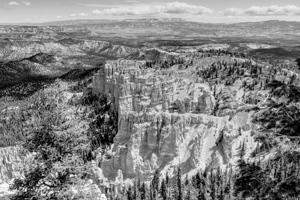 Bryce Canyon Rainbow Point Grayscale