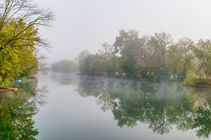 Mystical Foggy Finley River Morning