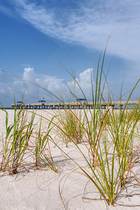 Orange Beach Pier Through Grass Vertical