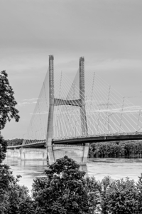 Evening Bill Emerson Bridge Vertical Grayscale