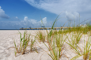 Orange Beach Pier Through Grass