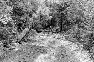 Autumn Glare Over Fall Creek Grayscale