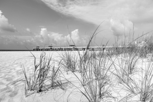 Orange Beach Pier Through Grass Grayscale