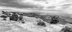Near Edge Of Buck Canyon Pano Grayscale