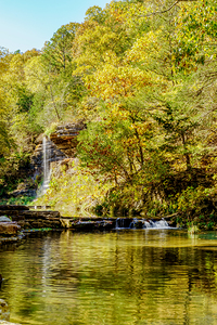 Flowing Waters Golden Leaves