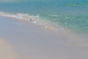 Destin Shorebreak Wave