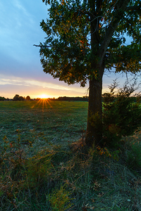 Golden Rays Of A Country Sunrise