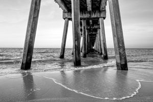Beautiful Morning Under Pensacola Pier Grayscale