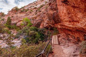 Pathway Through Zion Red Cliffs