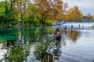 Line Of Fishermen Bennett Spring