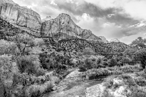 Virgin River Evening In Zion Grayscale