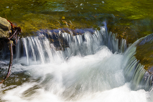 Flowing Currents At Tanyard Creek