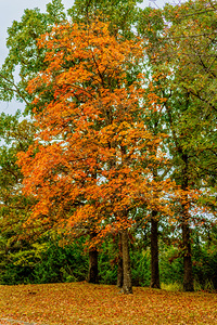 Stand Tall And Shine