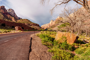 Zion Roadway In The Evening Light