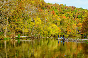 Trout Waters Of The Ozarks