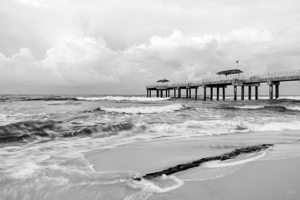 Alabama Gulf Driftwood Morning Grayscale