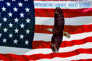 American Wings Bold Spirit by Jennifer White