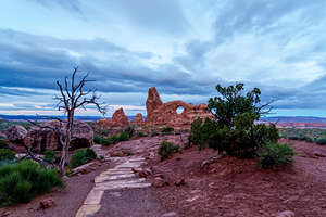 Turret Arch Walkway Through Junipers