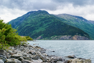 Portage Lake Alaska Shoreline