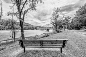 Beaver Bridge Bench View Grayscale