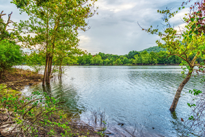 Destress At Table Rock Lake