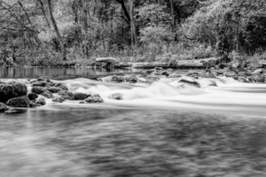 Bennett Spring State Park Rapids Grayscale