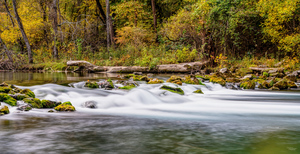 Bennett Spring Rapids Pano