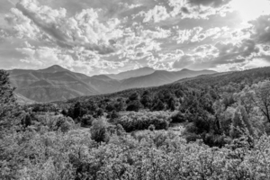 Peaceful View Of Pikes Peak Grayscale