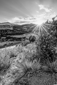 Colorado Sun Star Sunset Grayscale