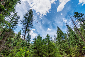 Ziplining Colorado Springs
