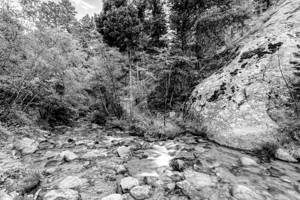 Cheyenne Creek At Helen Hunt Falls Grayscale