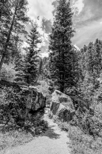Colorado Trail Through Boulders Grayscale