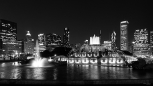 Grant Park Chicago Grayscale