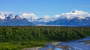 The Beautiful McKinley