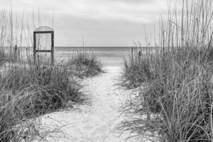 Destin White Sand Beach Path Grayscale