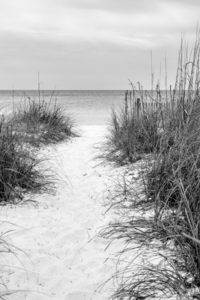 Destin Florida Beach Pathway Grayscale