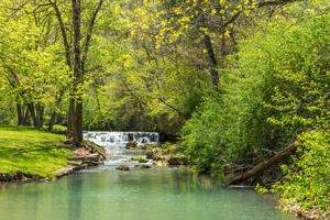 Ozarks Waterfall Serene Woods