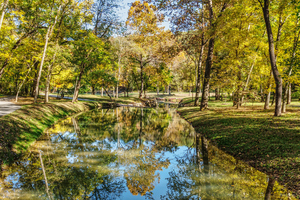 Dogwood Creek Reflections