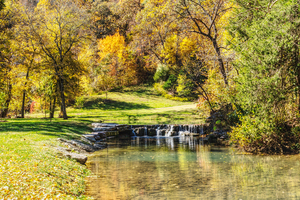 Serene Scene Dogwood Canyon