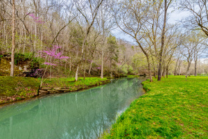 Spring Season At Dogwood Creek