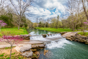 Creek Waterfall Covered Road